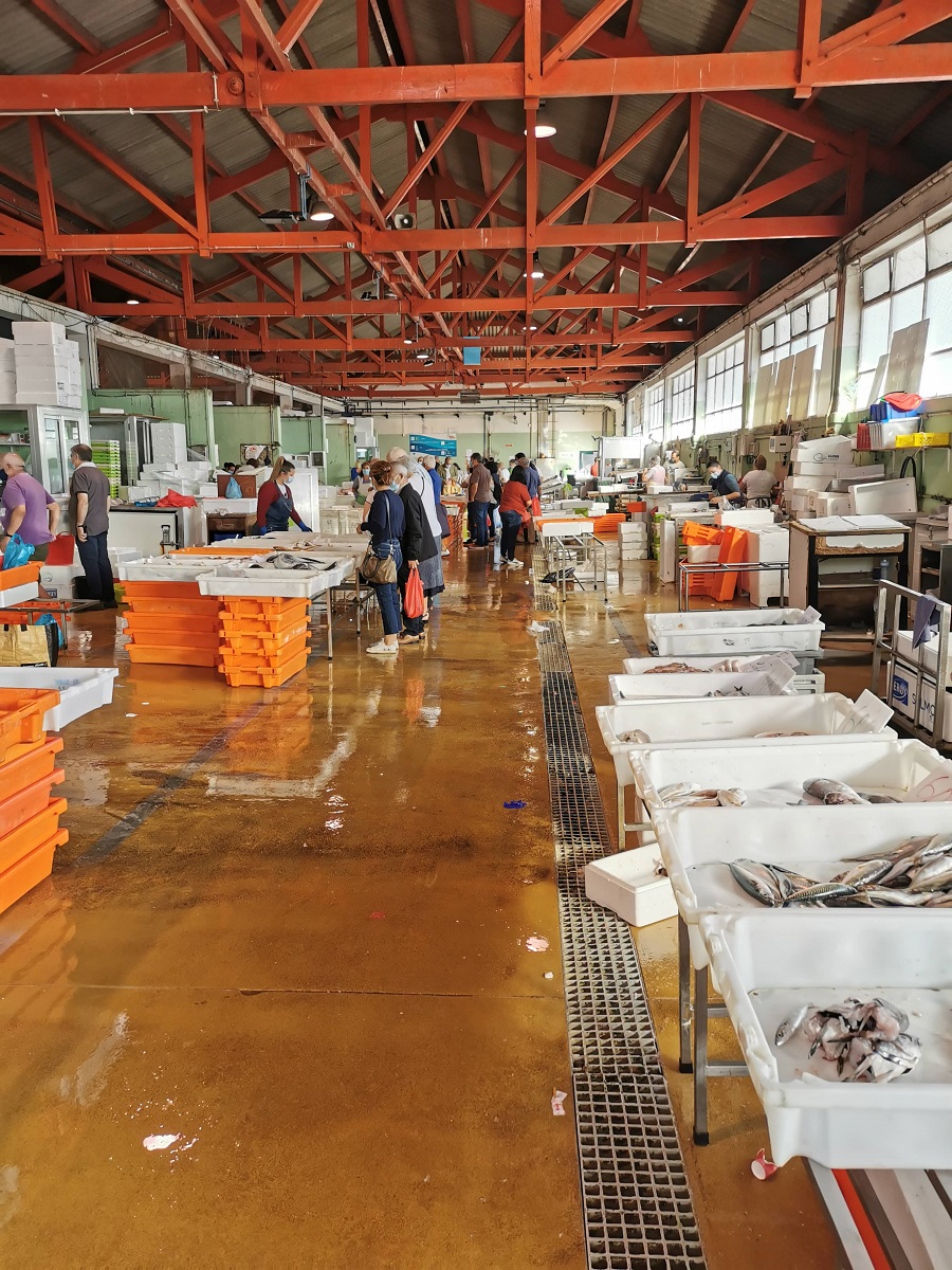Fischhalle 2 Radtour Porto: 1. Etappe: Der Fischmarkt Porto