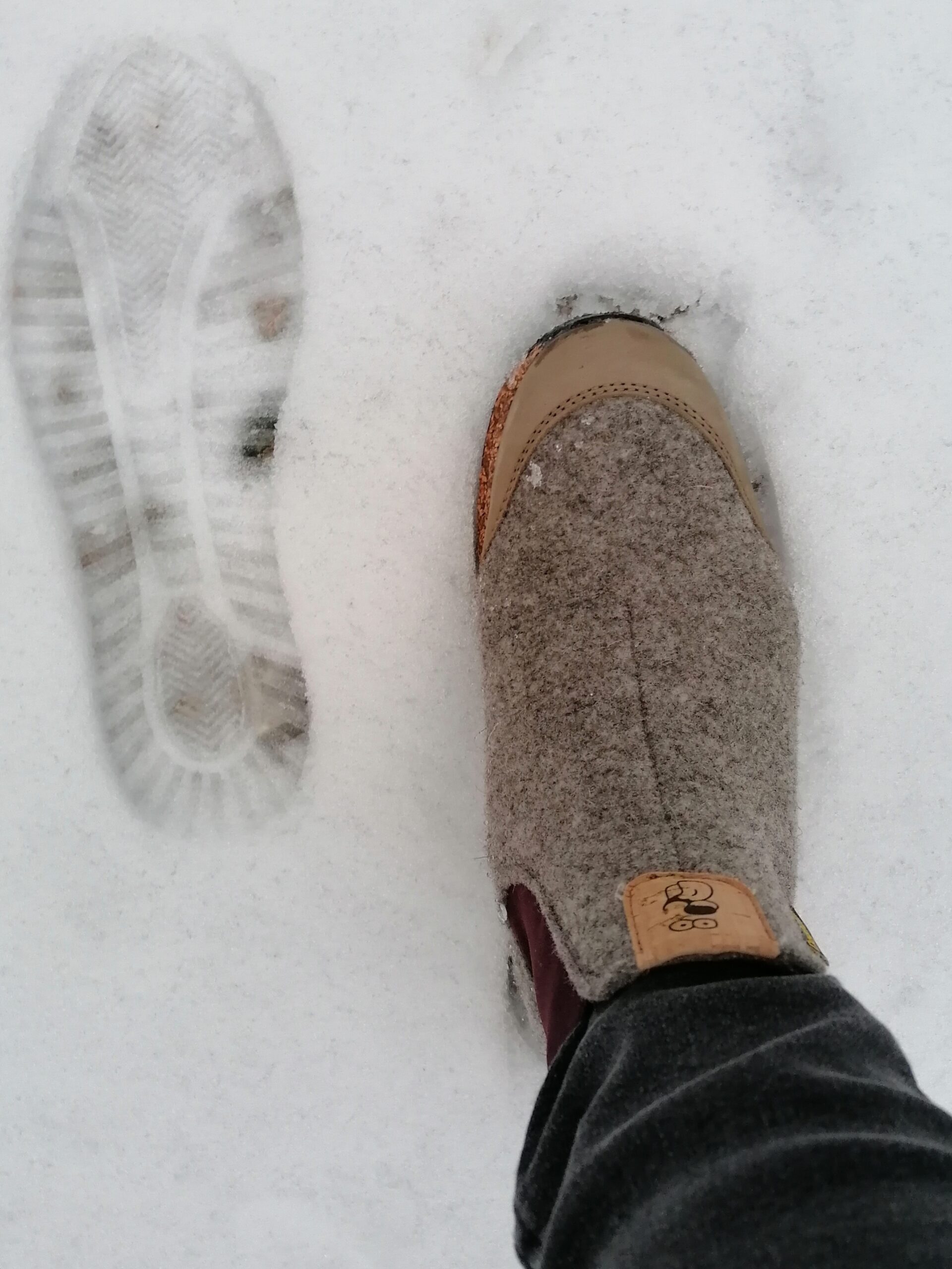 Arctic Wool Traveller Doghammer im Schnee