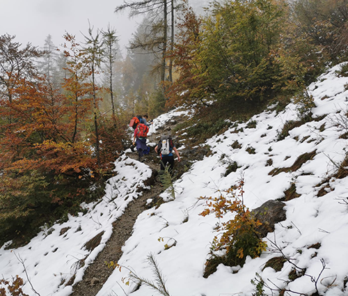 Weg auf die Fritz Pflaum Hütte