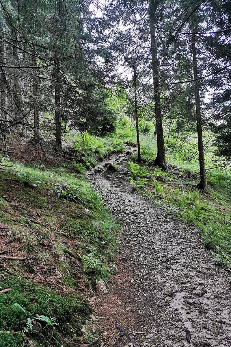Wanderweg auf der Feichteck Wanderung