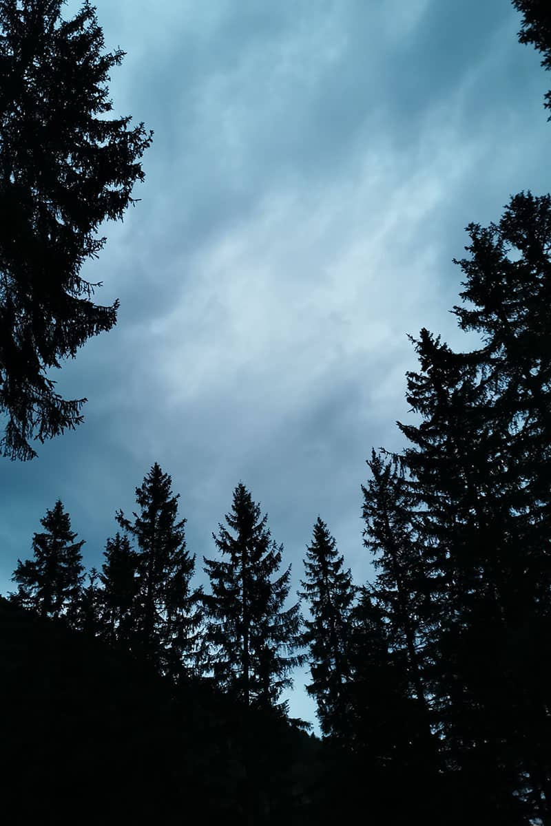 Abstieg vom Feichteck in der Dämmerung