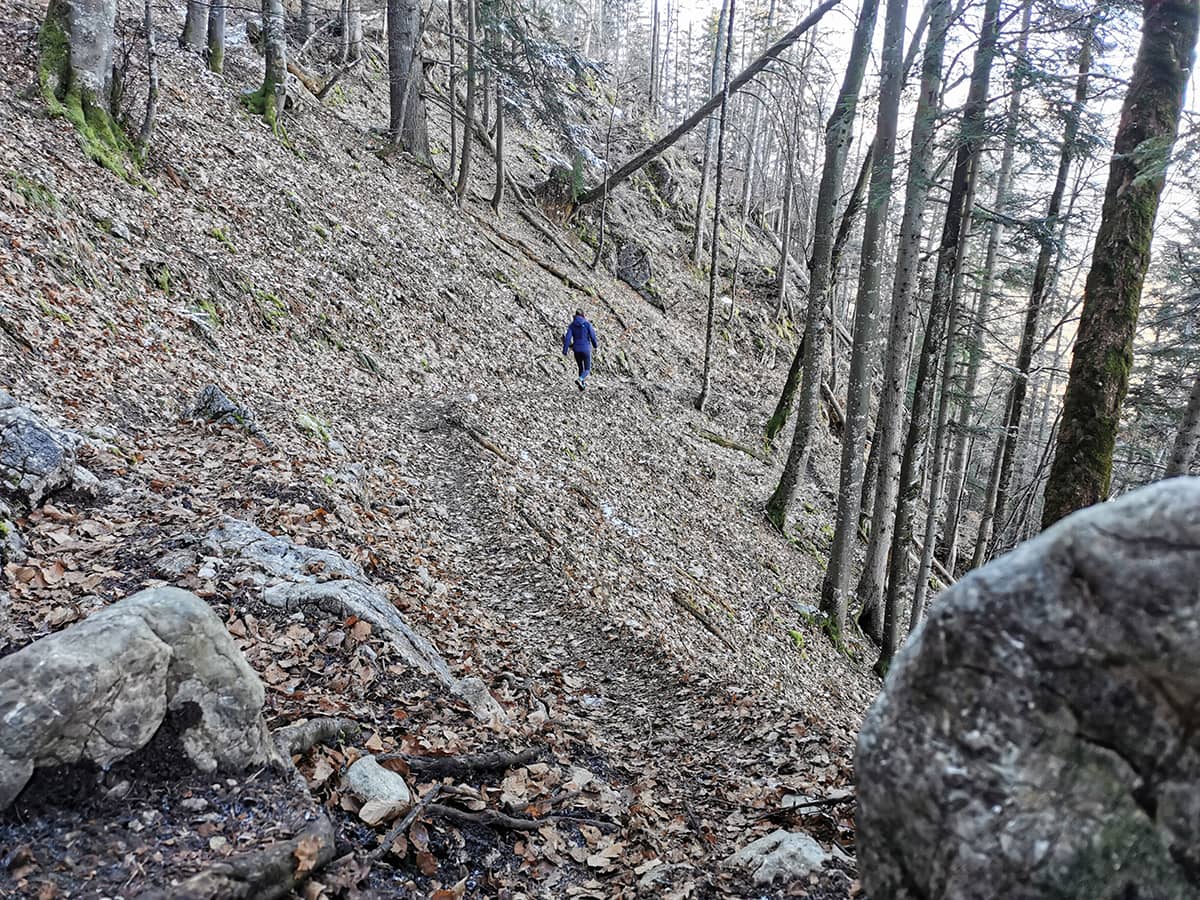 Abstieg auf der Taubensee Wanderung zurück zum Parkplatz