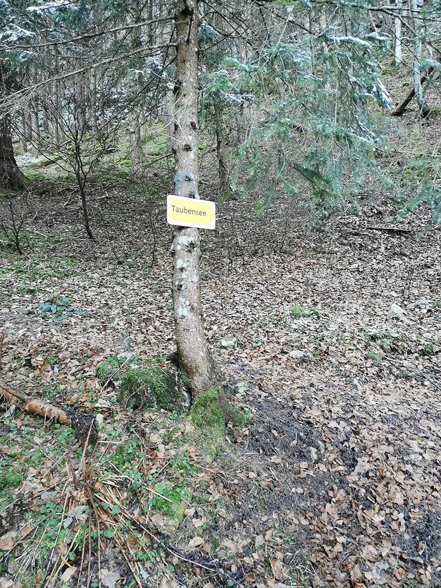 Weggabelung auf dem Taubensee Zustieg