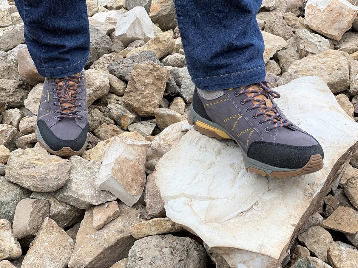 Vegan Guide Marron Buam auf Steinen