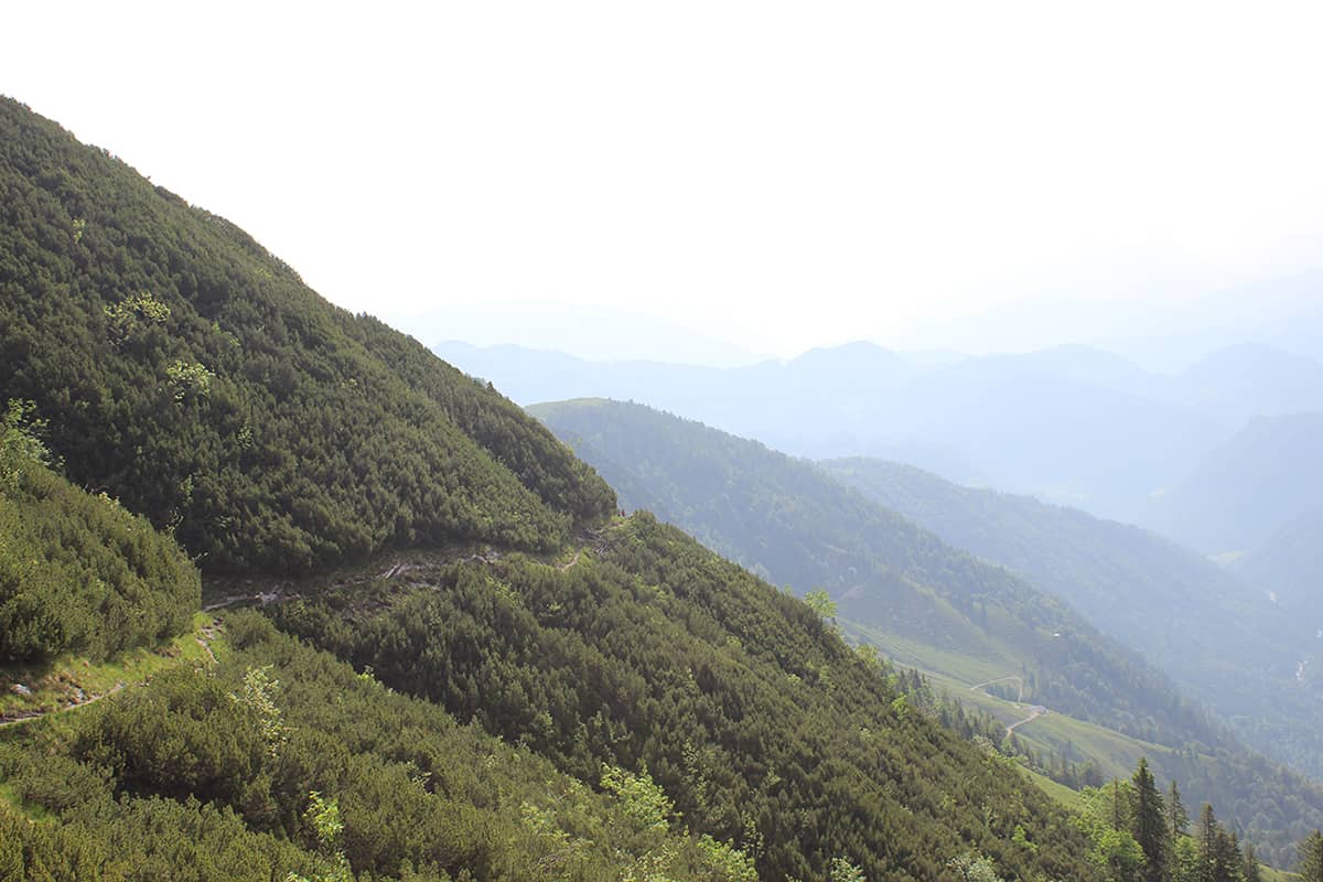 Gradweg zum Feldberg
