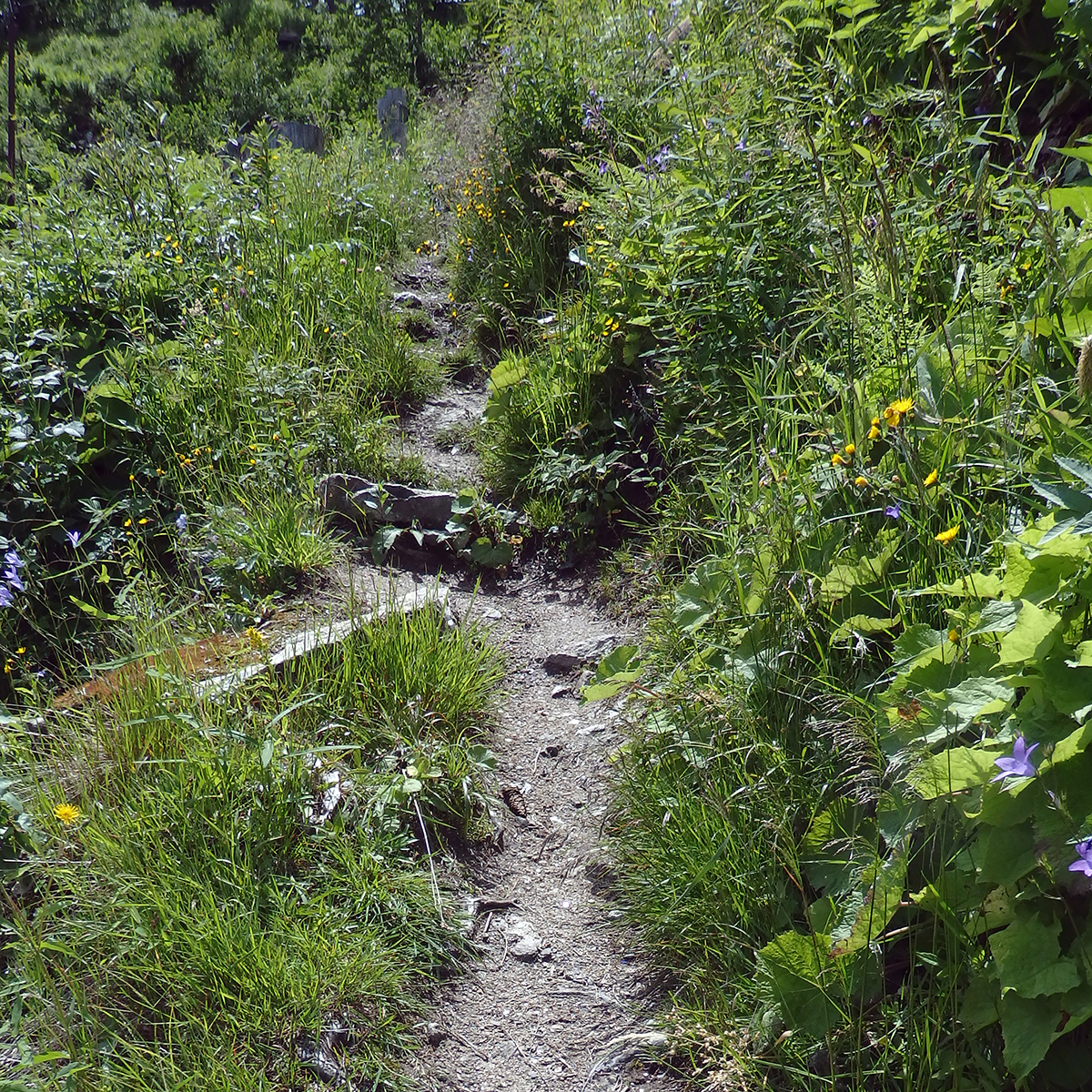 Schmaler Weg auf dem Weg zur pension haslinger bad gastein