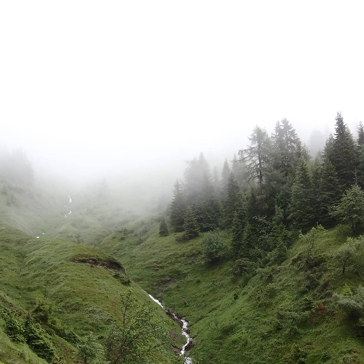 Ein Bächlein auf dem Weg zur Oberharbachalm