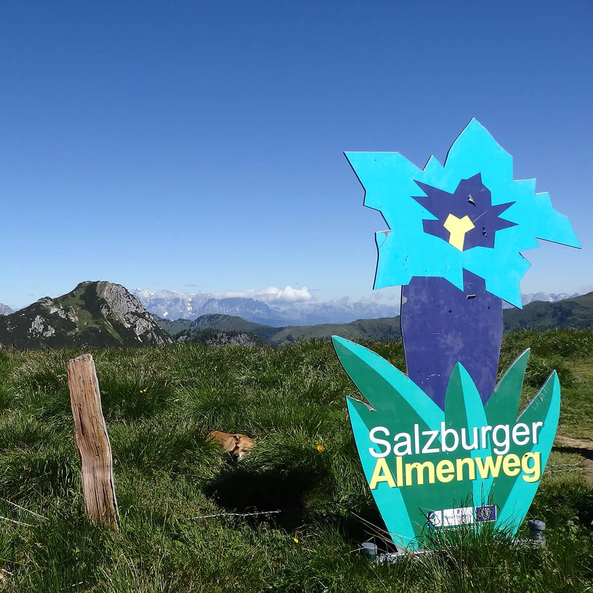 Das Schild des Salzburger Almenwegs markiert den richtigen Weg