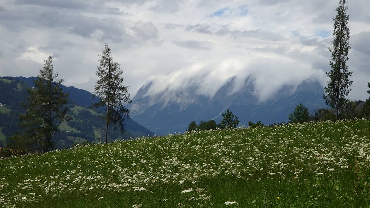 Hotel Hahnbaum: Almwiese