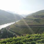 Douro Tal Blick Douro Tal Blick