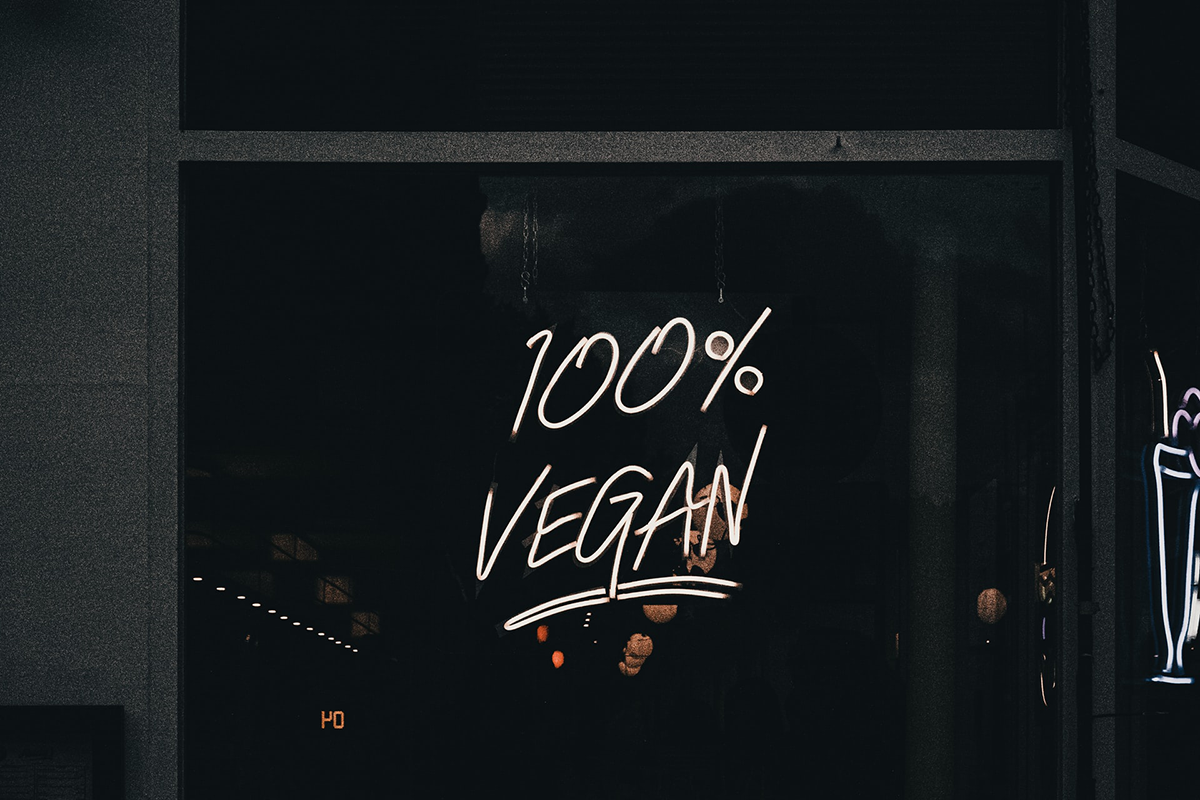Leder Alternativen - 100% vegan?