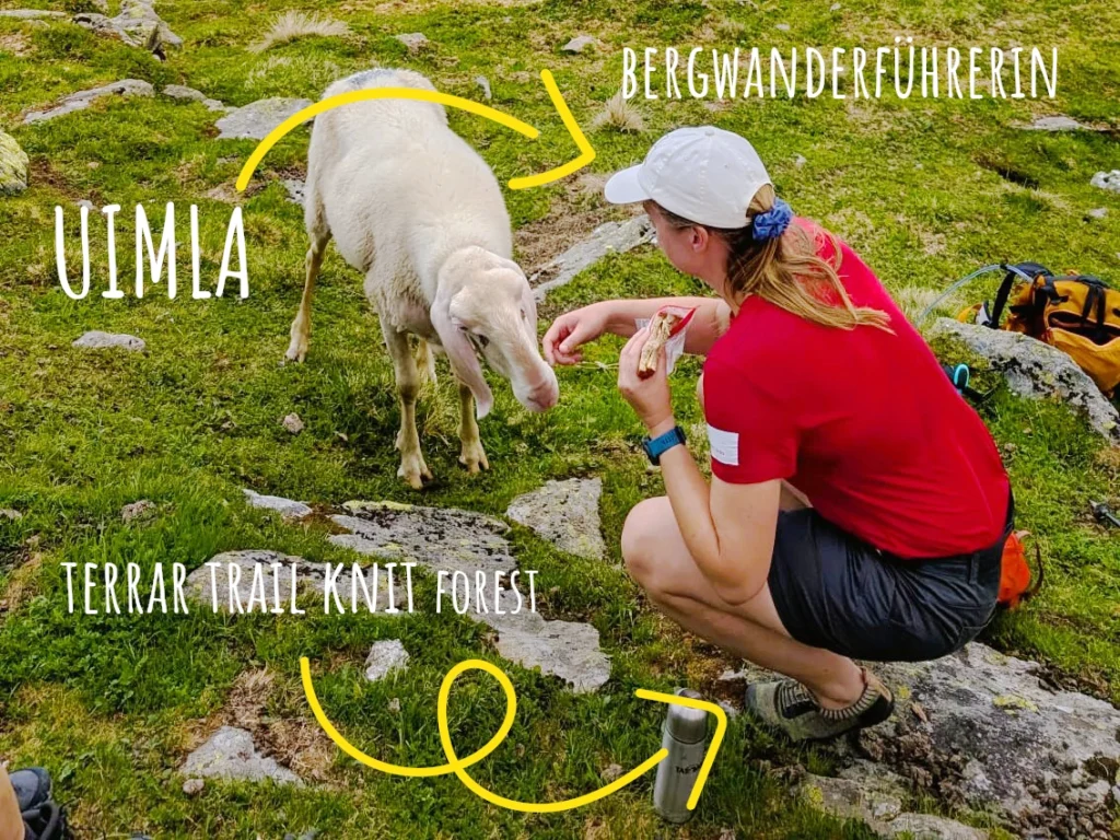 Bergwanderführerin testet den Terrar Trail Knit von Doghammer Bergwanderführerin testet den Terrar Trail Knit von Doghammer