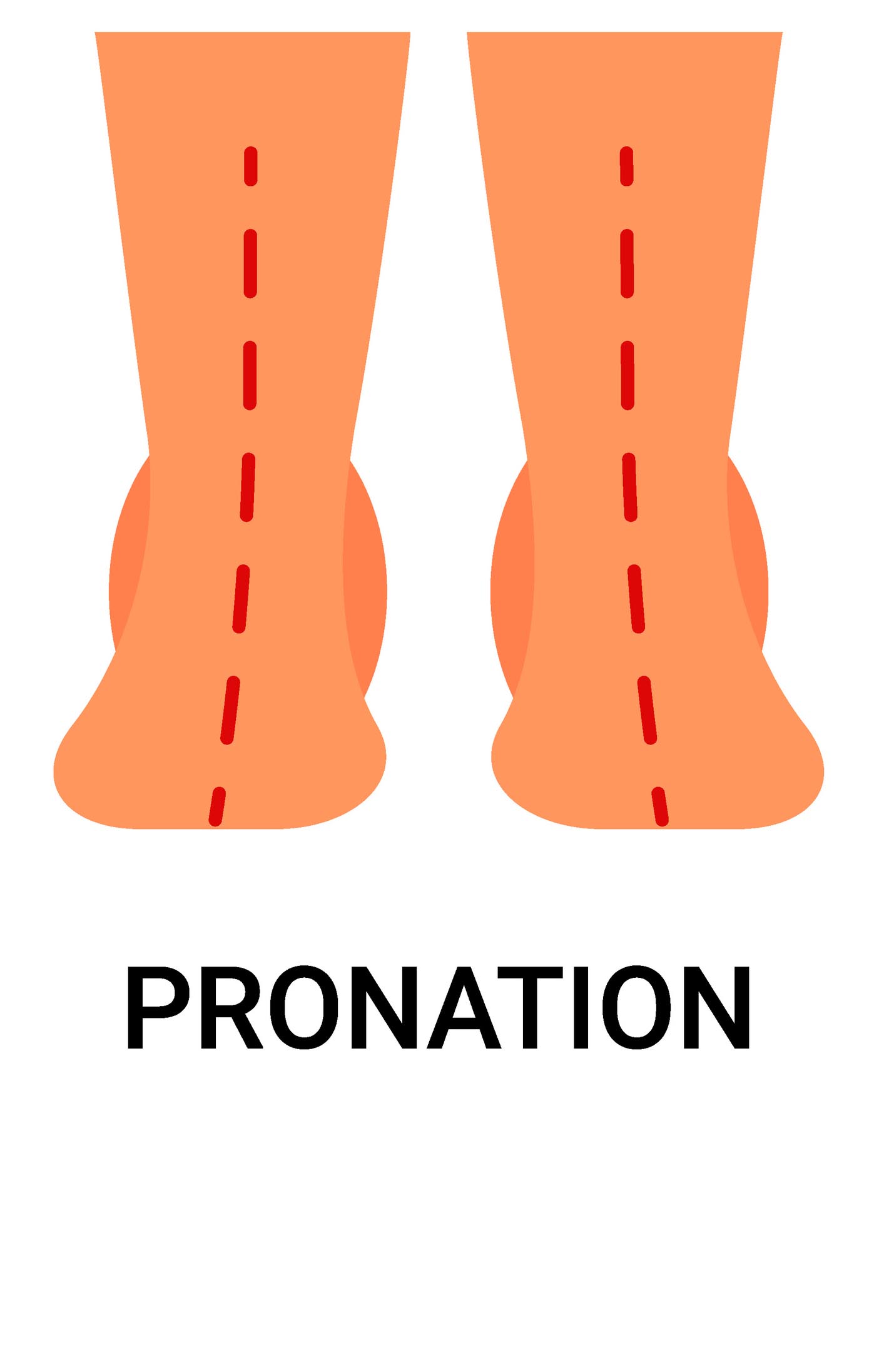 Pronationsdarstellung
