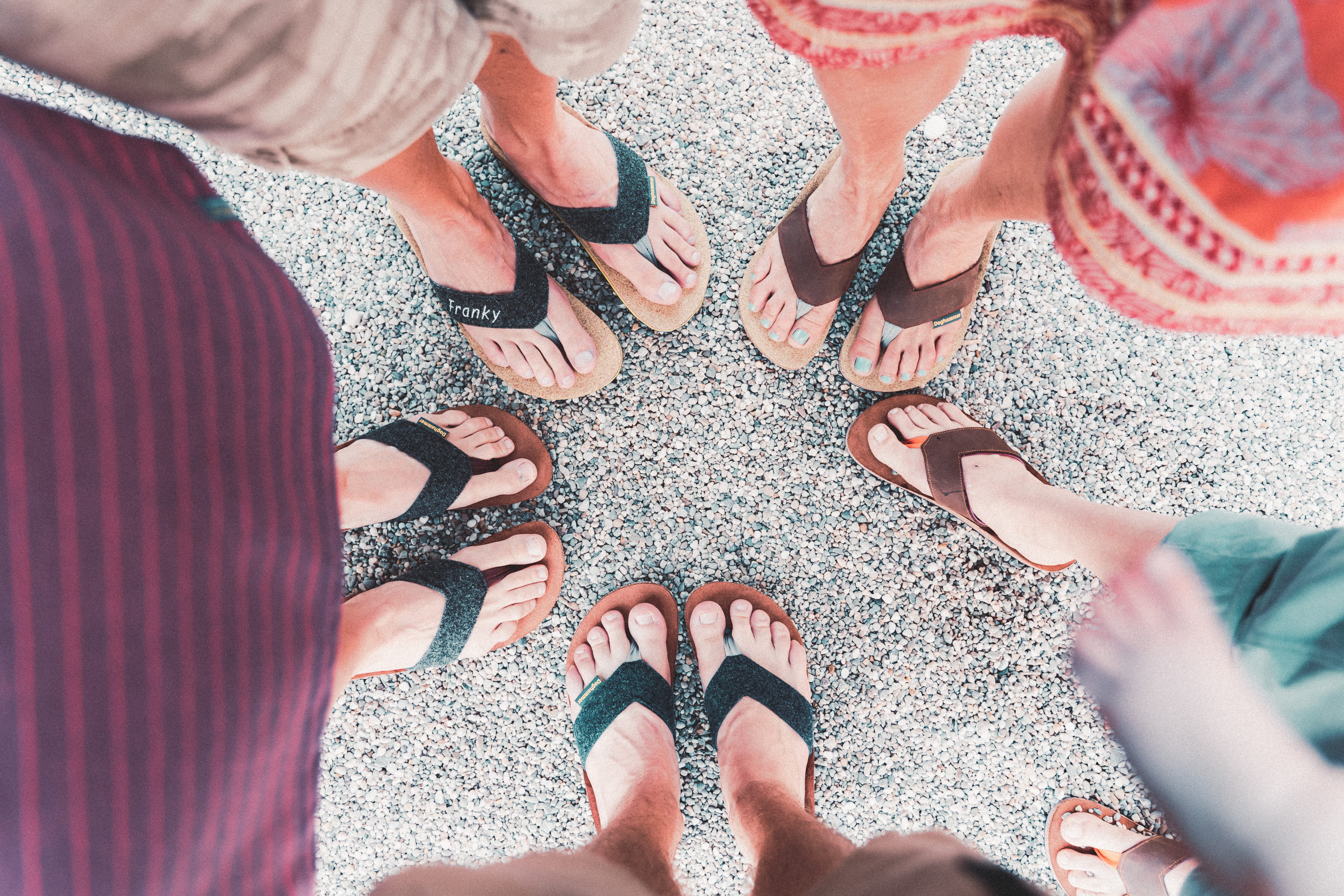 Doghammer Selfmade Kurs