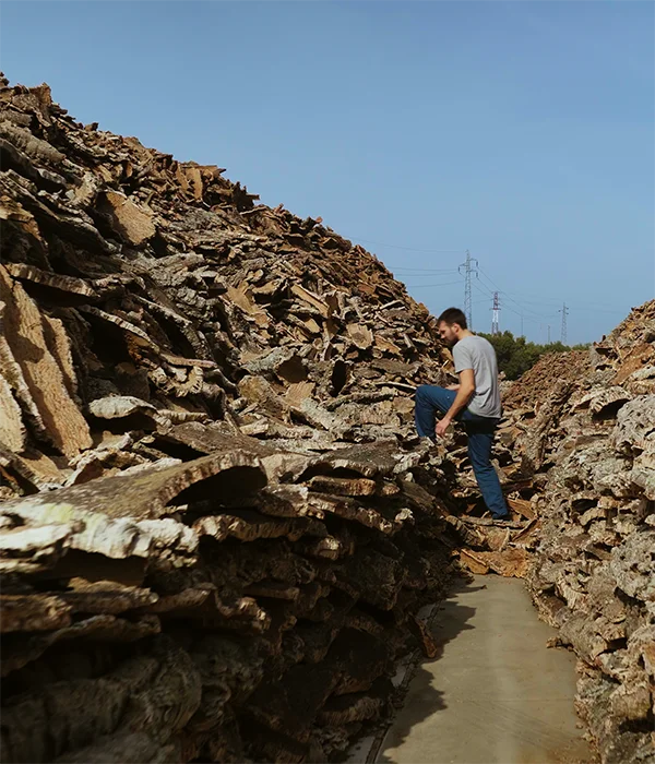 maximilian mit viel recyceltem kork