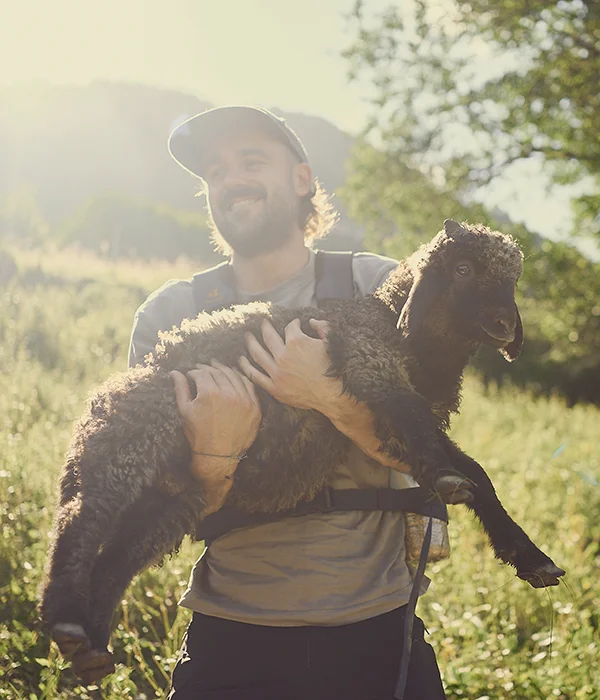 banner-wollprojekt-600-700