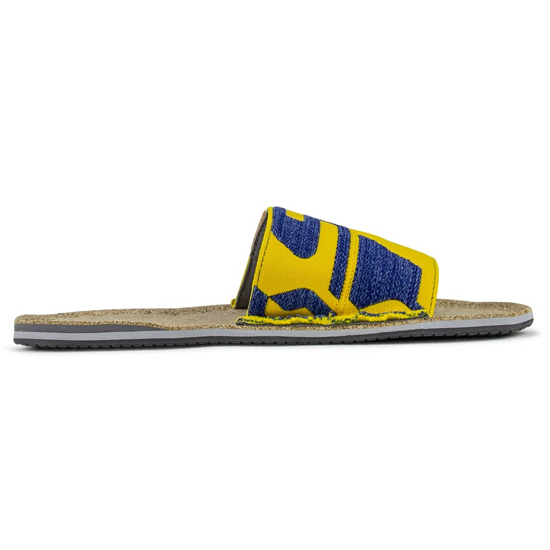 Dog2Go Scott | multicolor uni