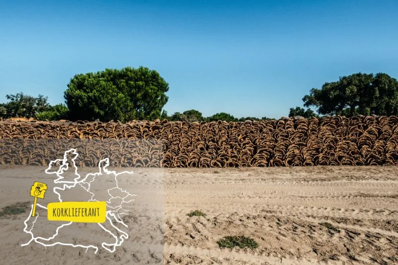 korklieferant von doghammer