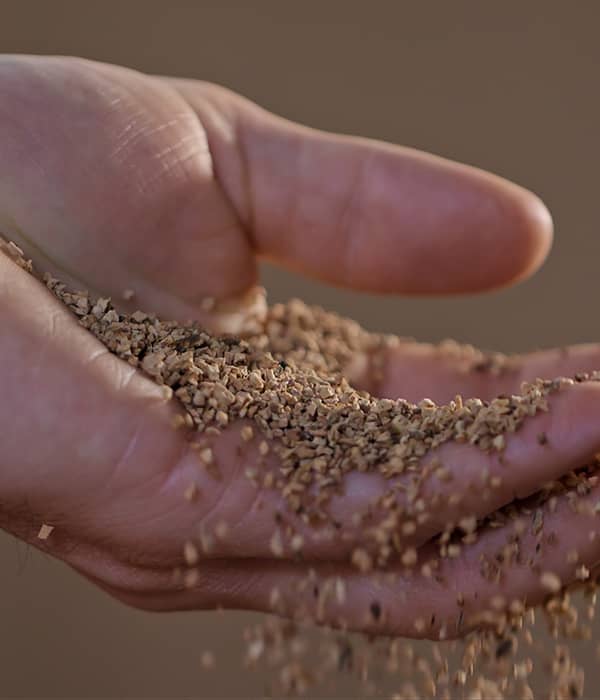 banner_cork-collect_600x700_mobil_20251228121403