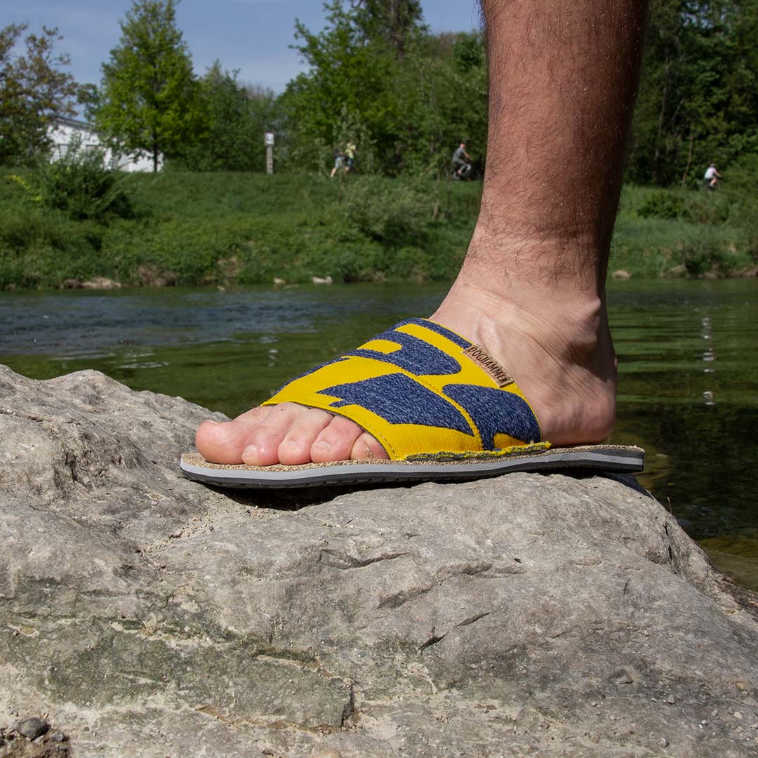 Dog2Go Scott | multicolor uni