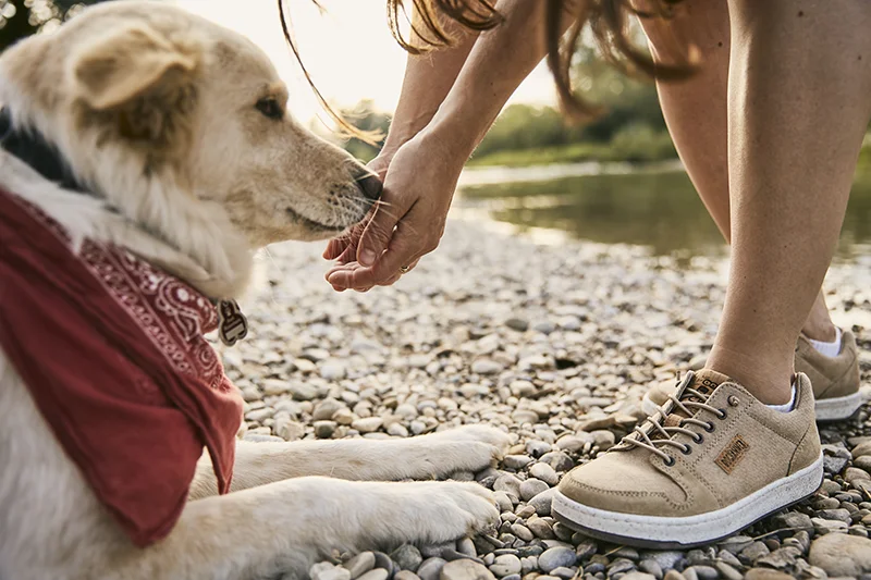 Doghammer Sneaker bianche da uomo, vegane e sostenibili, bianco, 42 EU Doghammer Sneaker bianche da uomo, vegane e sostenibili, bianco, 42 EU