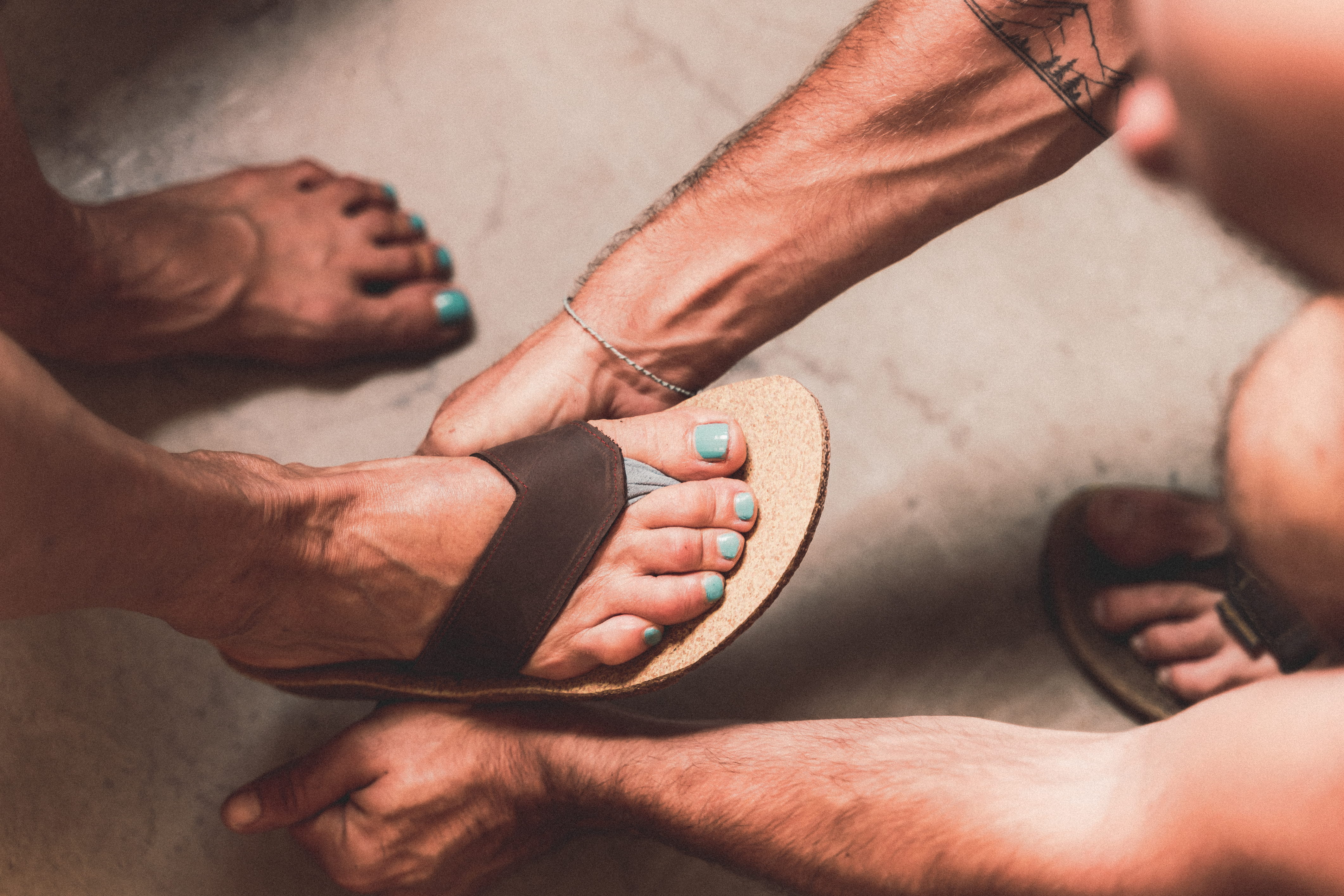 Doghammer Selfmade Kurs