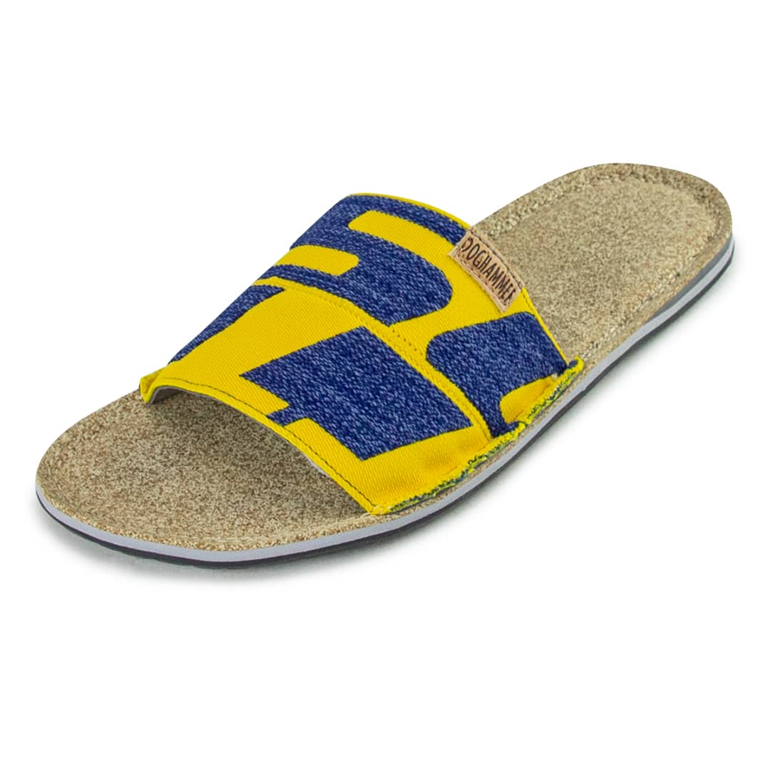 Dog2Go Scott | multicolor uni