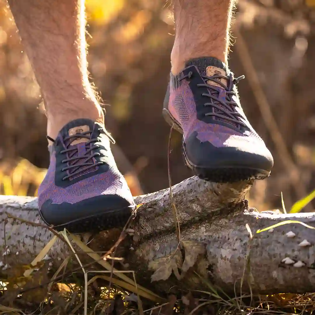 Terrar Trail Knit | sunset  - Barfuß-Wanderschuh