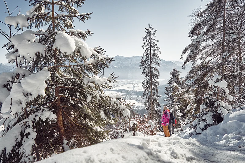 Wanderschuhe Herren wasserdicht